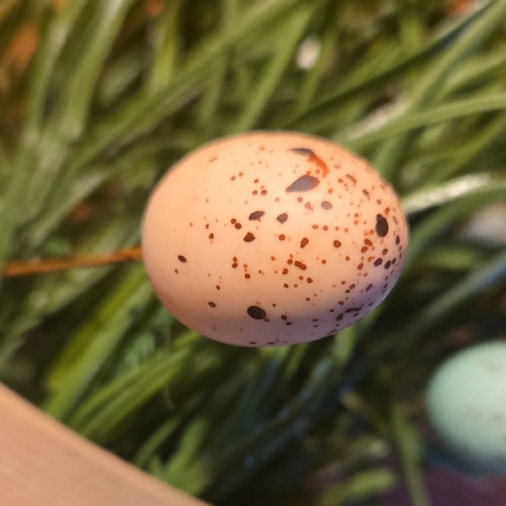 Flower And Egg Arrangement In Basket